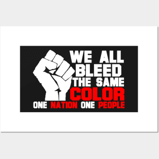 ONE NATION ONE PEOPLE- USA 2 Posters and Art